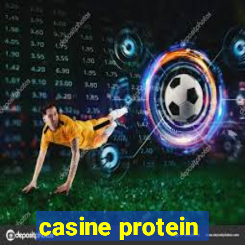 casine protein