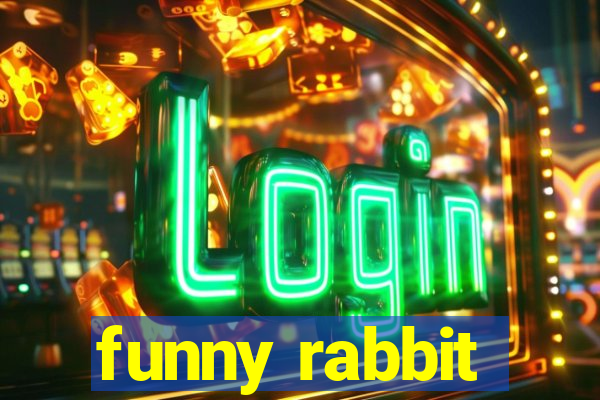 funny rabbit