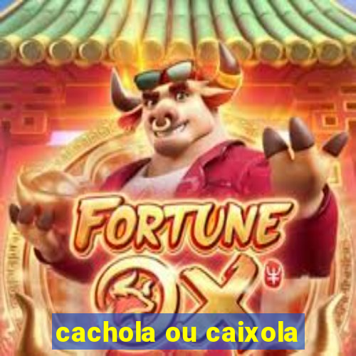 cachola ou caixola