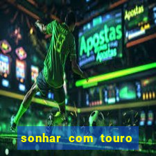 sonhar com touro mega sena