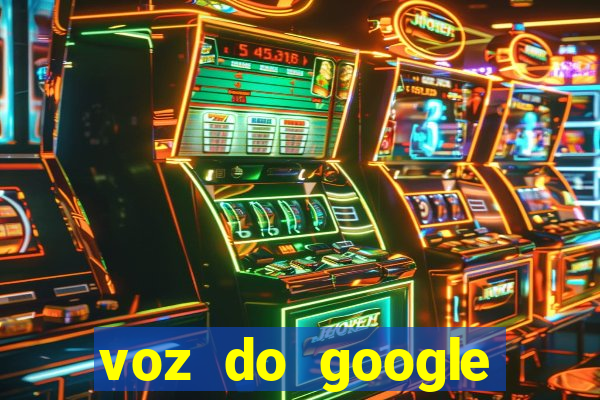 voz do google tradutor homem