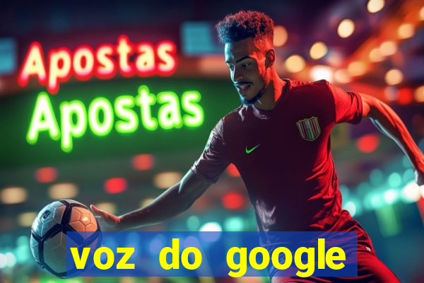 voz do google tradutor homem