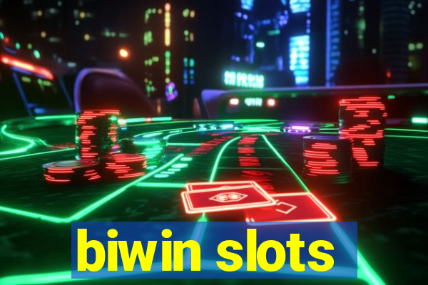 biwin slots