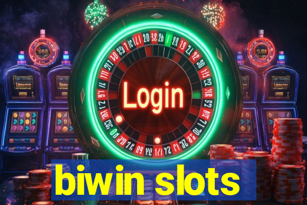 biwin slots