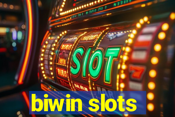 biwin slots