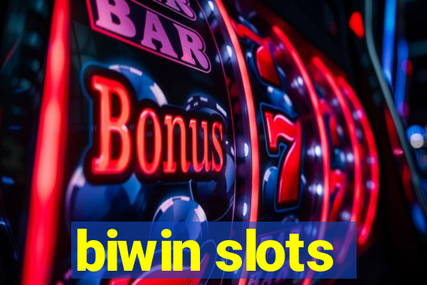 biwin slots