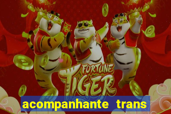 acompanhante trans santos sp