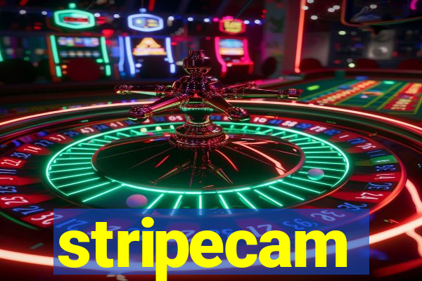 stripecam