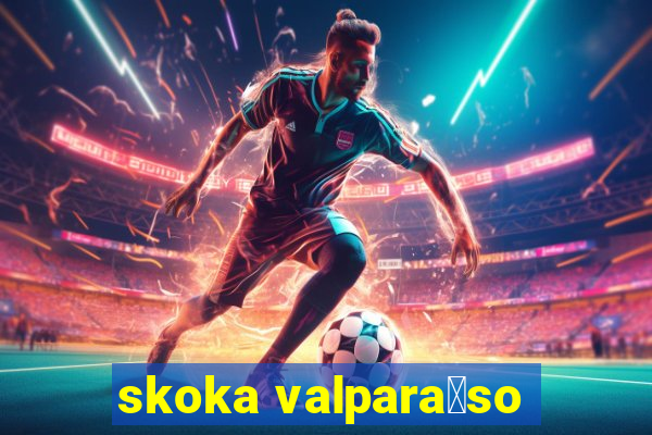 skoka valpara铆so