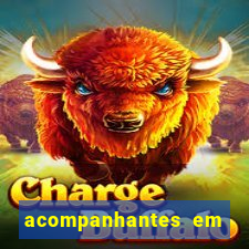 acompanhantes em porto velho