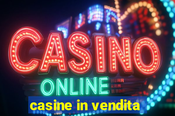 casine in vendita