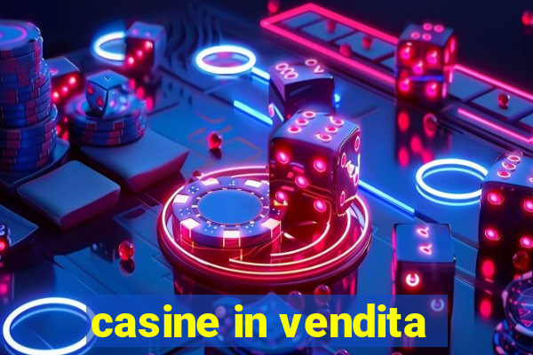 casine in vendita