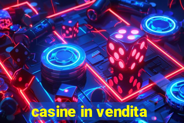 casine in vendita