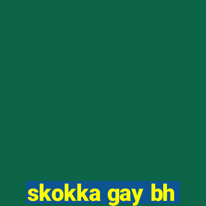 skokka gay bh