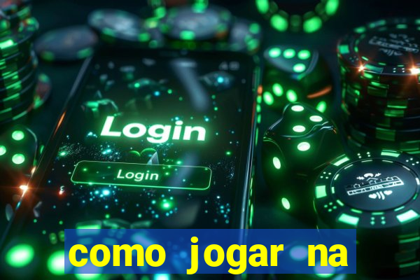 como jogar na lotinha do jogo do bicho