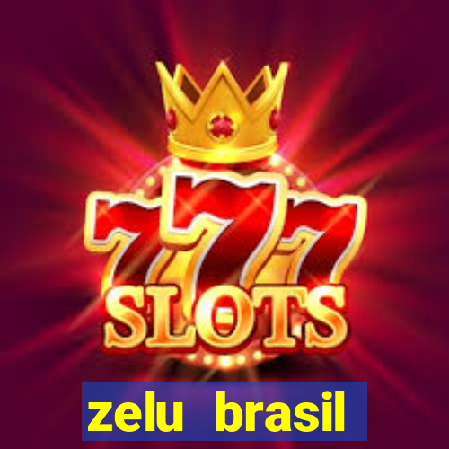 zelu brasil facilitadora de pagamentos ltda jogos