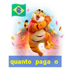 quanto paga o jungle fight