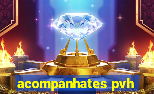 acompanhates pvh