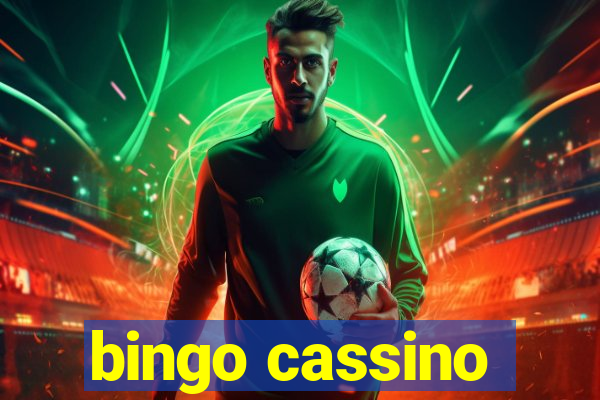 bingo cassino