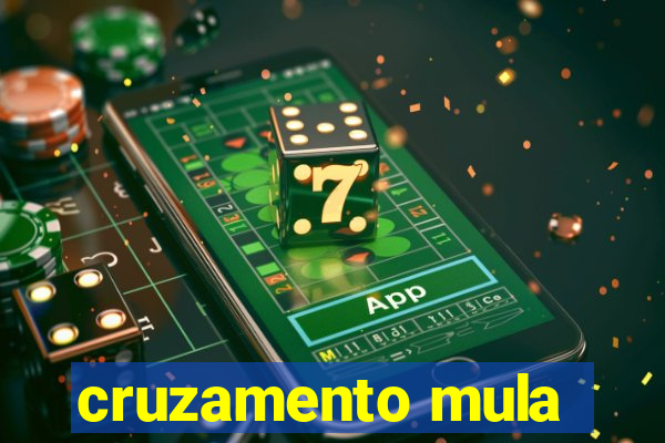 cruzamento mula