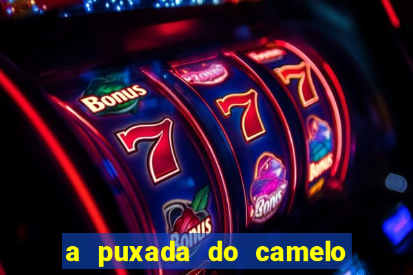 a puxada do camelo no jogo do bicho