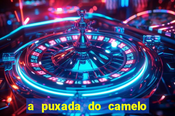 a puxada do camelo no jogo do bicho