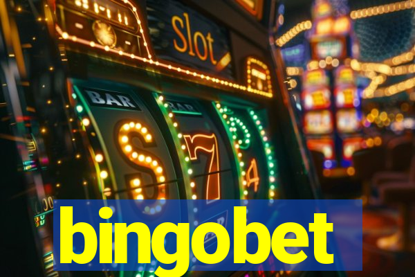 bingobet