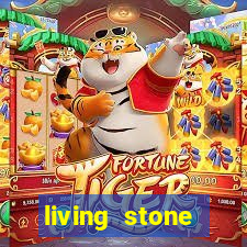 living stone network tv