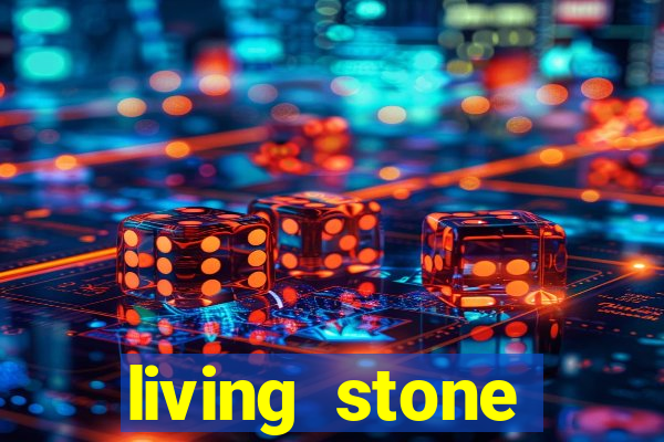 living stone network tv