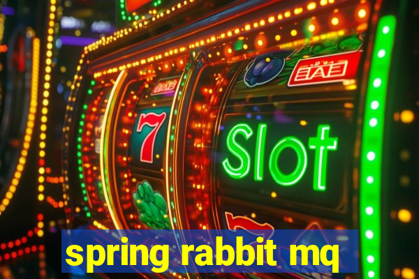 spring rabbit mq