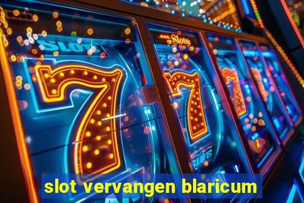 slot vervangen blaricum