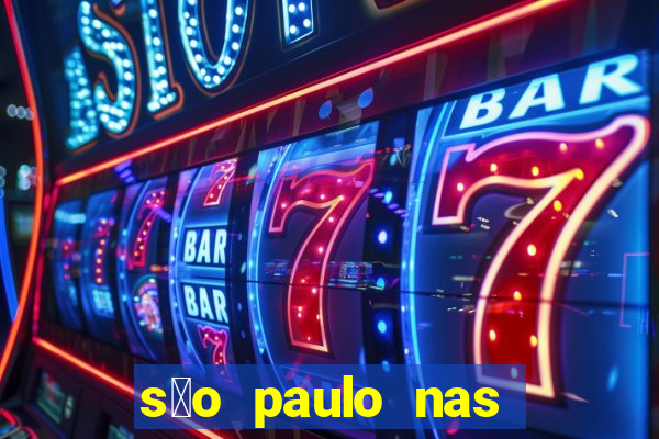 s茫o paulo nas alturas pdf