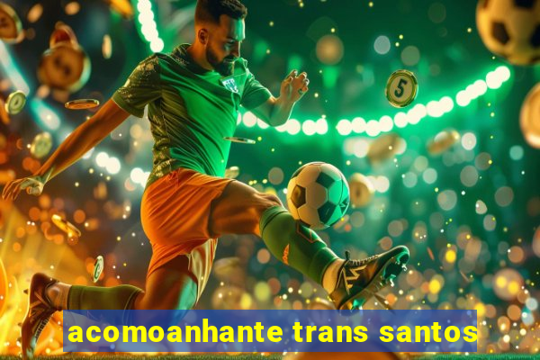 acomoanhante trans santos