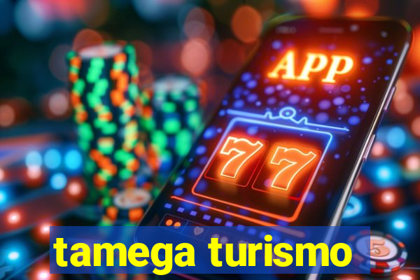 tamega turismo