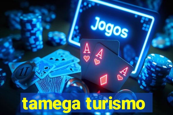 tamega turismo