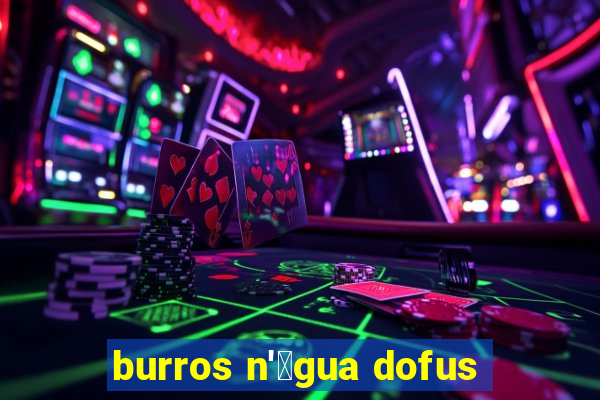 burros n'谩gua dofus