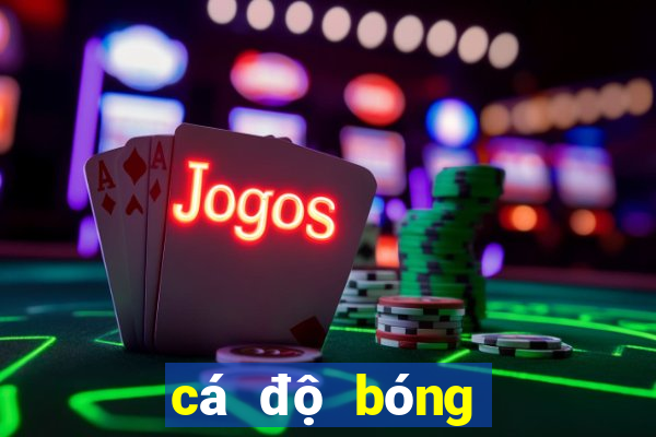 cá độ bóng đá online