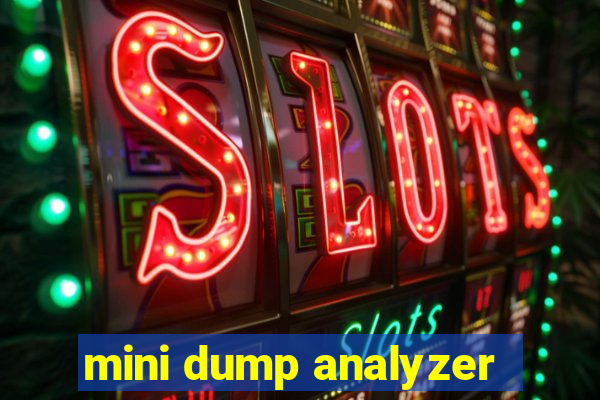 mini dump analyzer