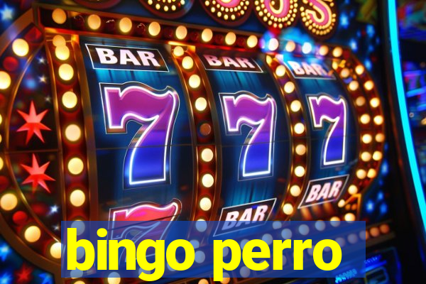 bingo perro