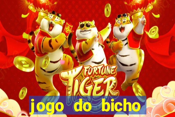 jogo do bicho crash bingo