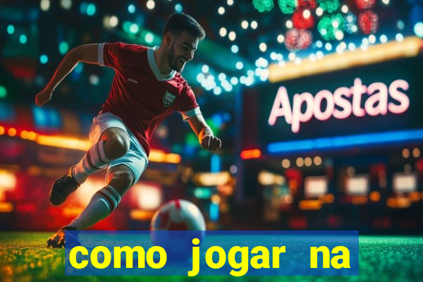 como jogar na seninha online