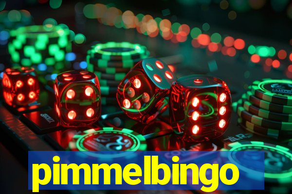 pimmelbingo