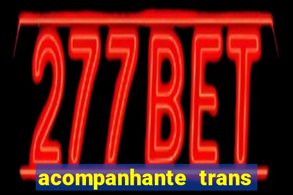 acompanhante trans em santos