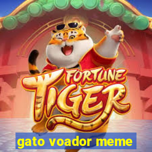 gato voador meme