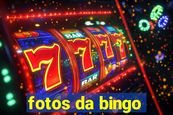 fotos da bingo