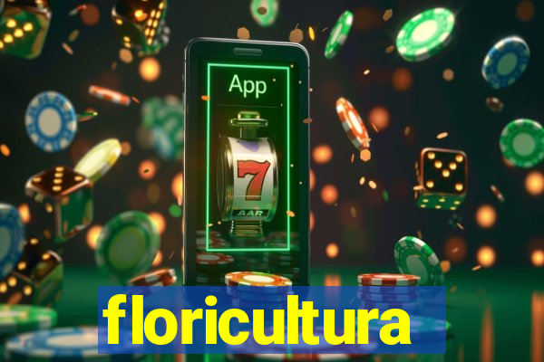 floricultura cruzeiro novo