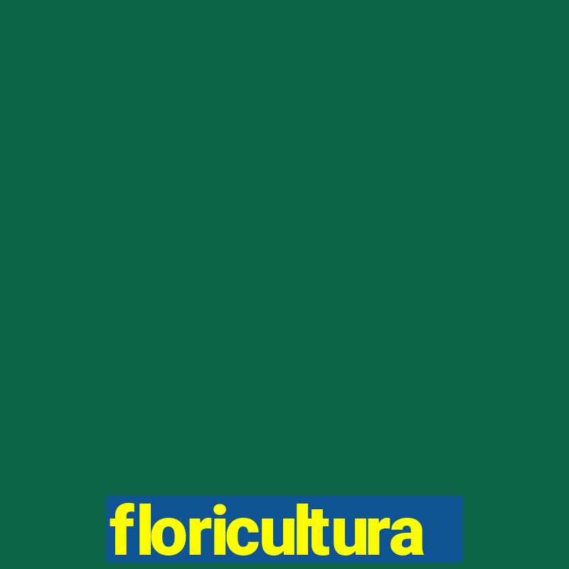 floricultura cruzeiro novo