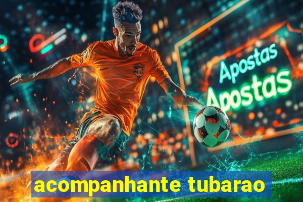 acompanhante tubarao