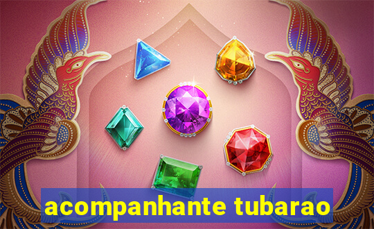 acompanhante tubarao