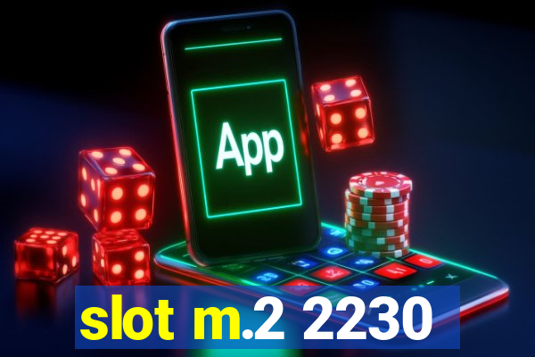 slot m.2 2230